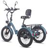 Electric Freight Bike Fafrees F20 Mate 750W Peak Motor 20" Fat Tire 48V 23.45AH Hydraulic Disc Brakes Max Load 180Kg LCD Display