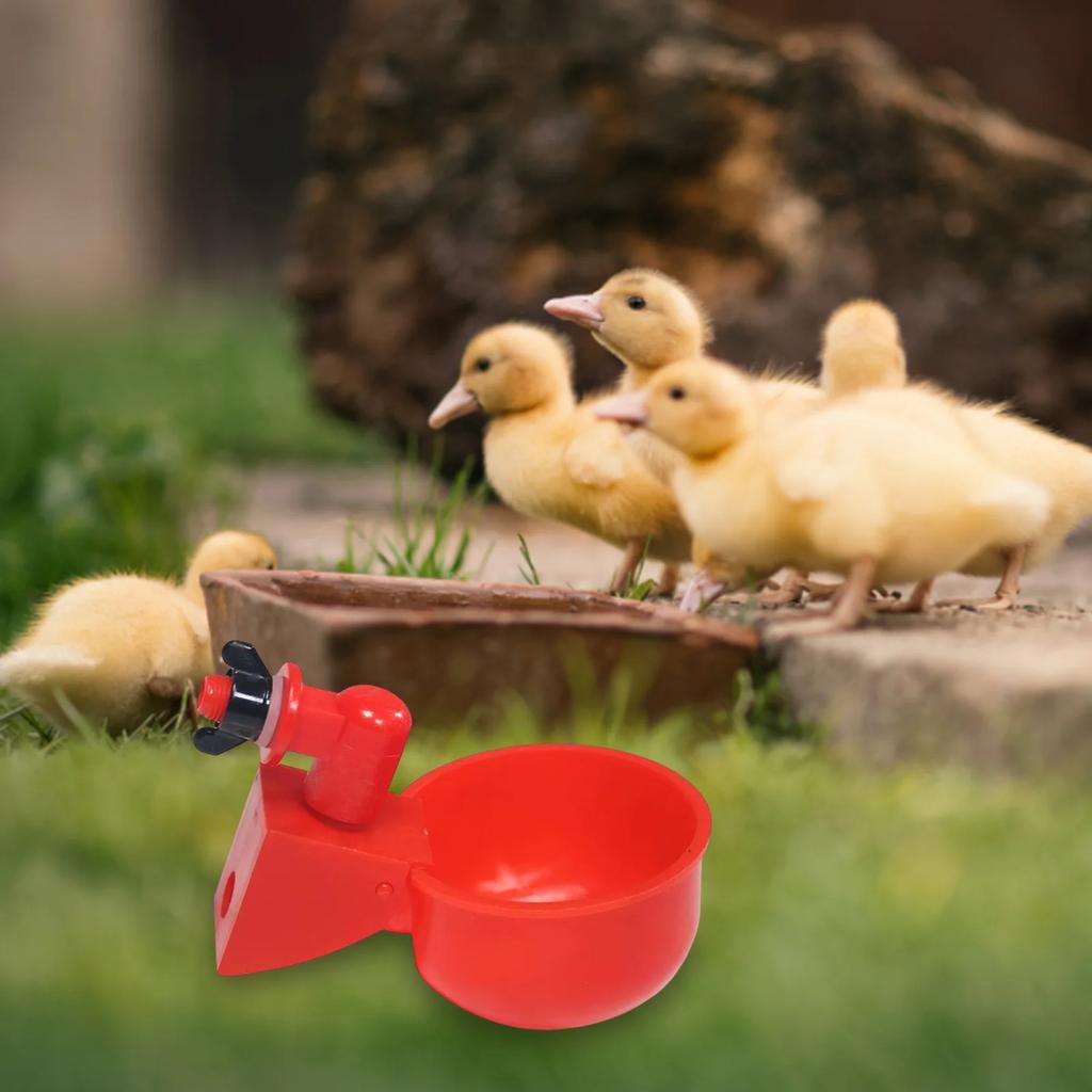 6-36Pcs Chicken Duck Drinking Cup Automatic Drinker Chicken Feeder Plastic Poultry Farm Water Drinking Cups Easy Installation