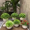 Home Homestay Ornaments: Mini Potted Green Plant for Office Conference Room Decor