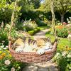 Unique Housewarming Present Hanging Basket Cat Statue, Cute Sleeping Kitten Figurine, Outdoor Decorative Resin Ornament for Garden Patio Porch