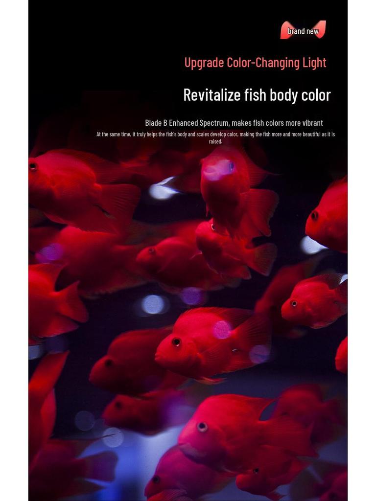 Ji Yin Waterproof LED Light for Native Fish Tanks, Algae Control, Submersible Stream Tank Lighting