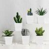 6/12/24pcs Mini Square Pot Flower Pot Succulent Pot Seven Colors Little Black Square Plastic Pot Seedling Tray Gardening TMZ