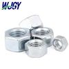 Stainless Steel Hex Nut