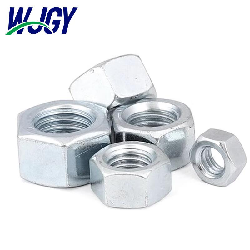 Stainless Steel Hex Nut