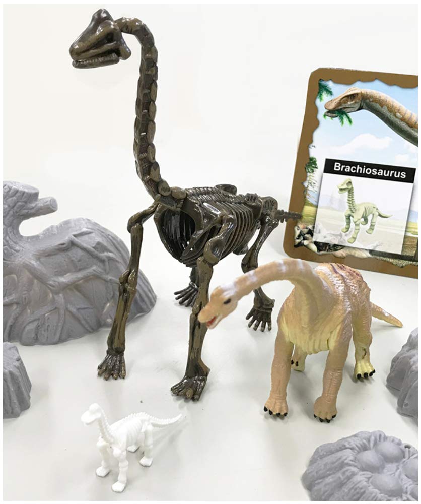 Doyusha Dinosaur Museum AR Brachiosaurus Mini and Scene Figure (pre-painted, Pre-assembled Skeleton, Skeleton, Set)