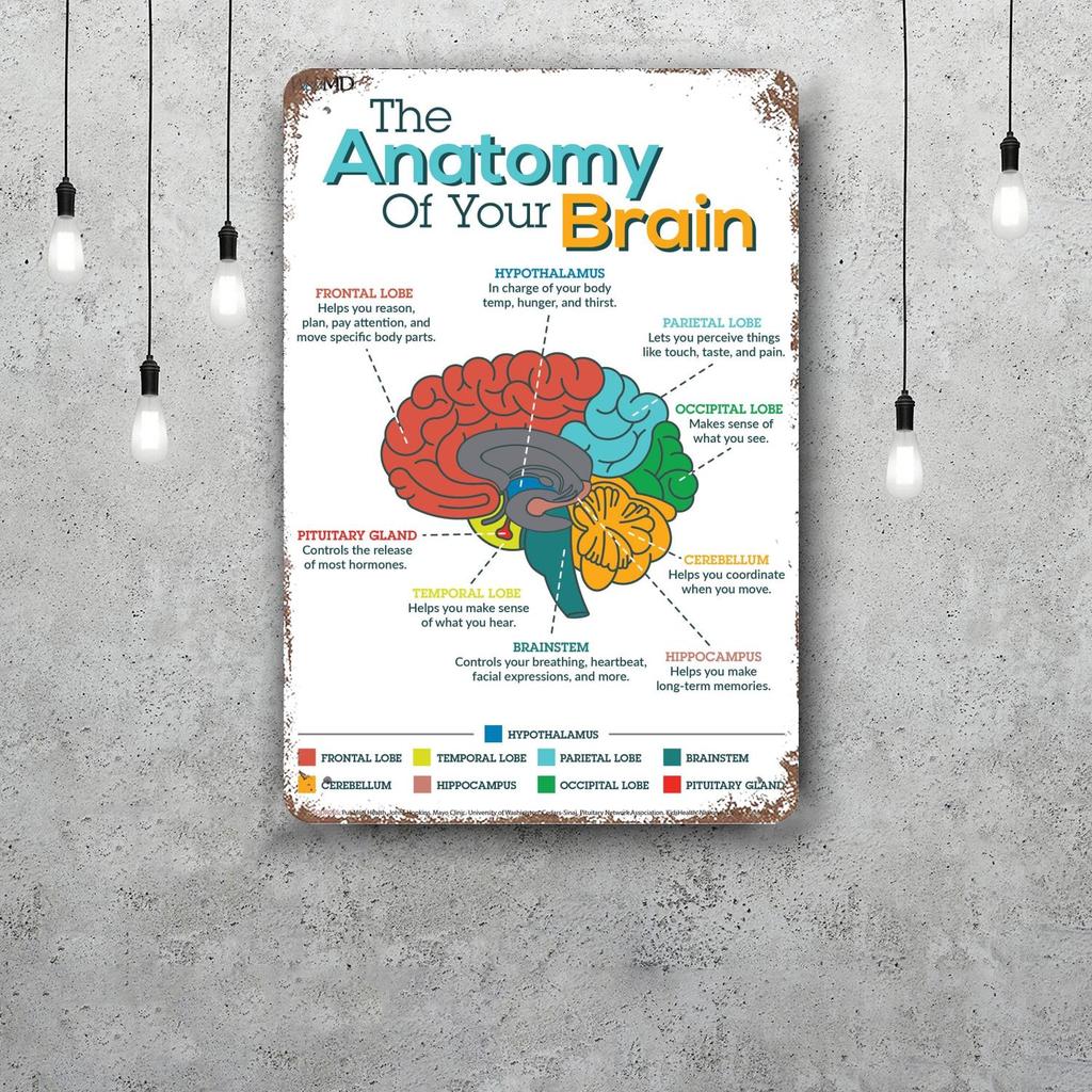 Brain Funny Bar Metal Sign Retro Plaque Vintage Sign Alcohol Drinker Pub Club Man Cave Kitchen Wall Decoration