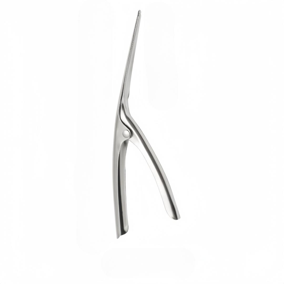 

Stainless Steel Shrimp Peeler Pointed Nose Quick Shelled Meat Extractor Small Tool for Preparing Seafood Kitchen Shell Deveiner серебряный