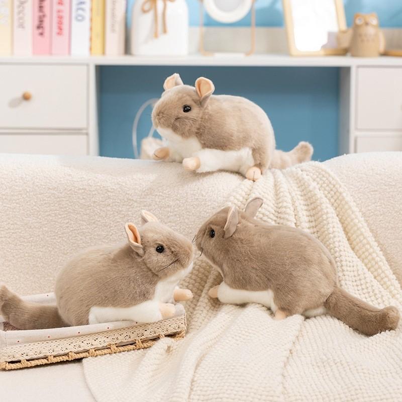 Peluche Cincillà Giocattolo Riempito Per Bambini e Bambine Regalo