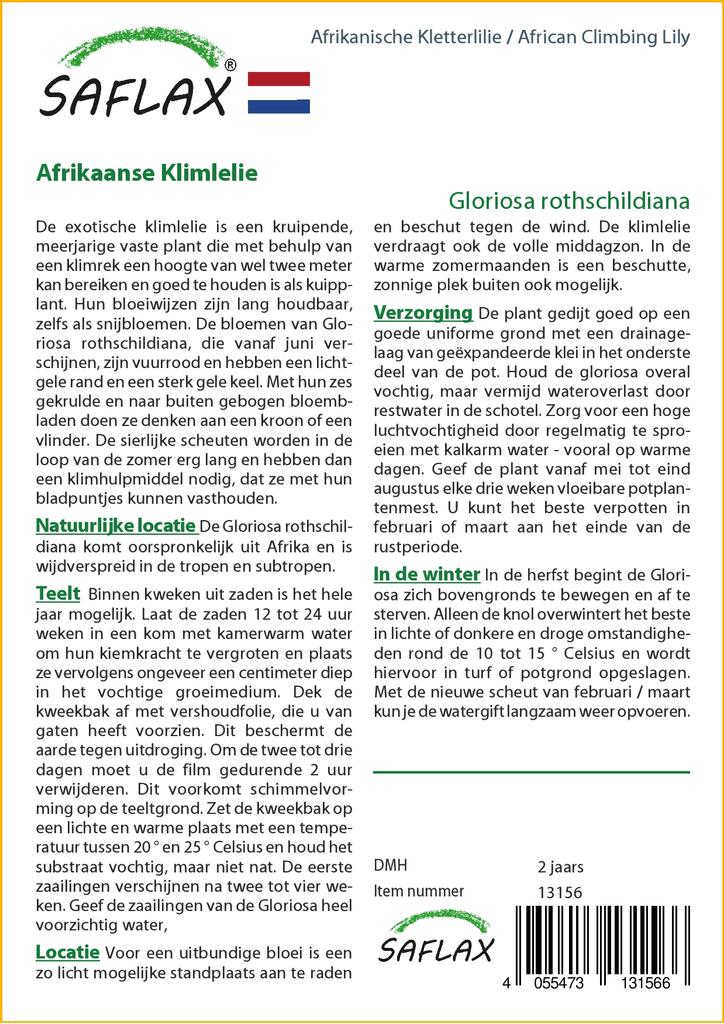 SAFLAX African Climbing Lily - 15 Seeds - Gloriosa Rothschildiana