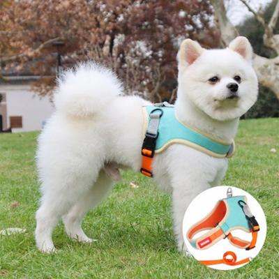 Sunpeak Hundezehenschutz Patella-Luxationsprävention L-Typ Geschirrset, Minze