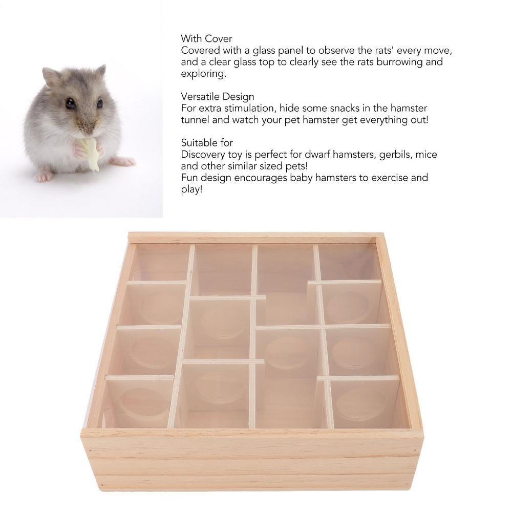 Easy Assemble Design Hamster Tunnel Maze With Glass Panel Small Pet Exploring Toy Pet Play Area