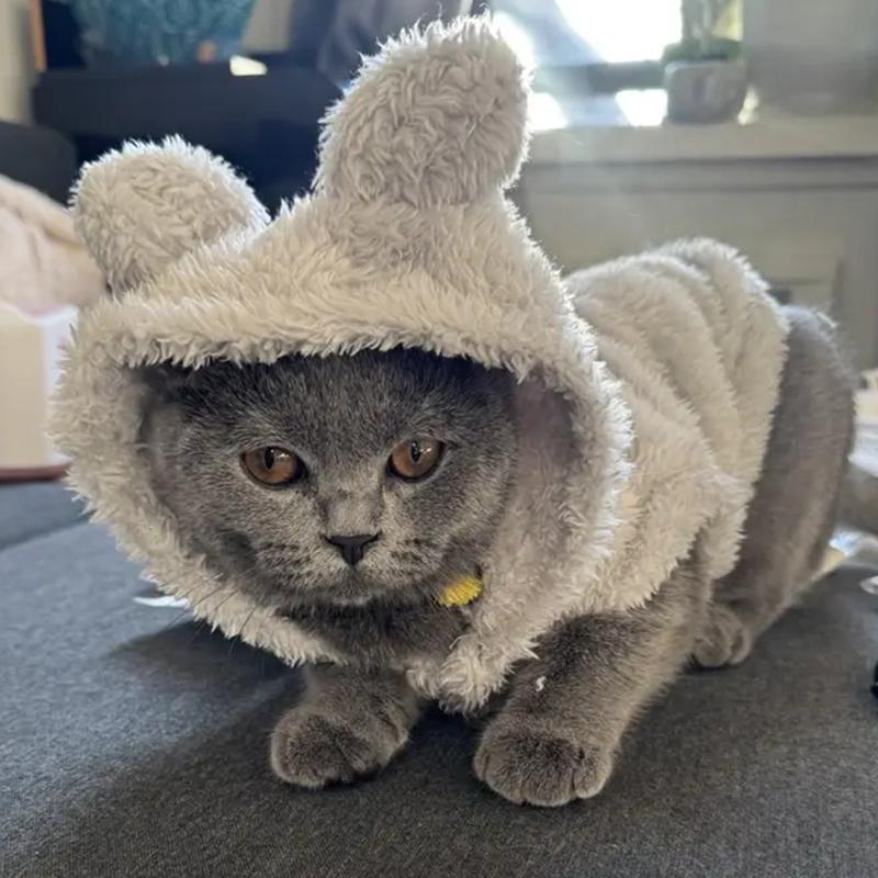Winter Warm Cat Hoodie Cute Cozy Pet Outfits Rabbit Ears Pets Clothes For Small Medium Dogs Cats Puppy Kitty Soft Sphynx Coat