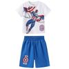 Childrens/Kids Captain America & Falcon T-Shirt & Shorts Set