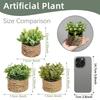 Green Artificial Plants Eucalyptus Grass Woven Small Potted Plants Grass Mound 11cm PE Material Home Decoration