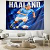 Haaland Tapestry, Wall Hanging Tapestry, Pattern Tapestry for Dorm Bedroom Living Room Wall Art Photography Backdrop