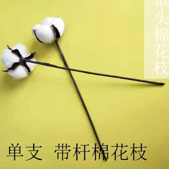 Artificial Pine Cone Dried Cotton Stem Set Fake Red Berries Cedar Branches for Christmas Flower