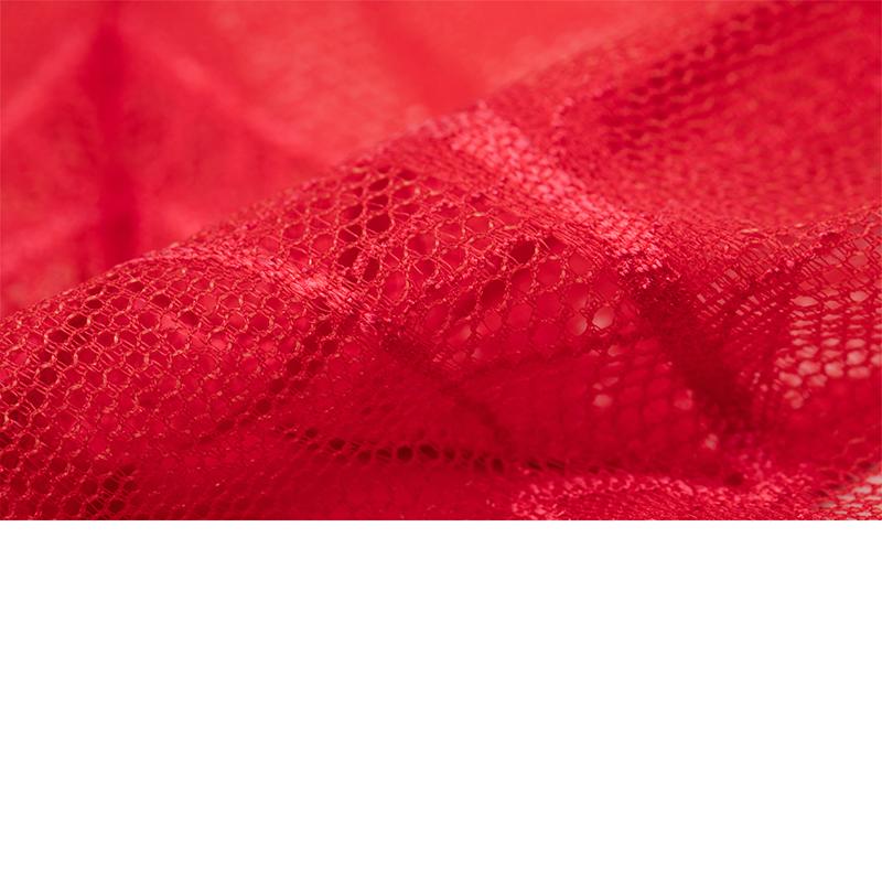 Calvin Klein Black Label Year Of The Dragon Lace Hipster Underwear Women Underwear Raspberry-Red QF7532AD