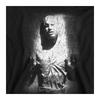 STAR WARS Unisex Adult Han Solo Carbonite Sweatshirt