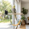 Bite Resistant Parrot Climbing Perch Suction Cup Hanging Bird Swing Bird Swing Toy  Bird Cages