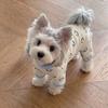 Small Dog Four-Legged Pajamas: Anti-Shedding Schnauzer, Bichon, Teddy Belly Protection for Autumn & Winter