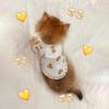 Thin Breathable Pet Vest Cats Dogs Anti-Shedding Cute Clothes British Shorthair Ragdoll Bichon Teddy