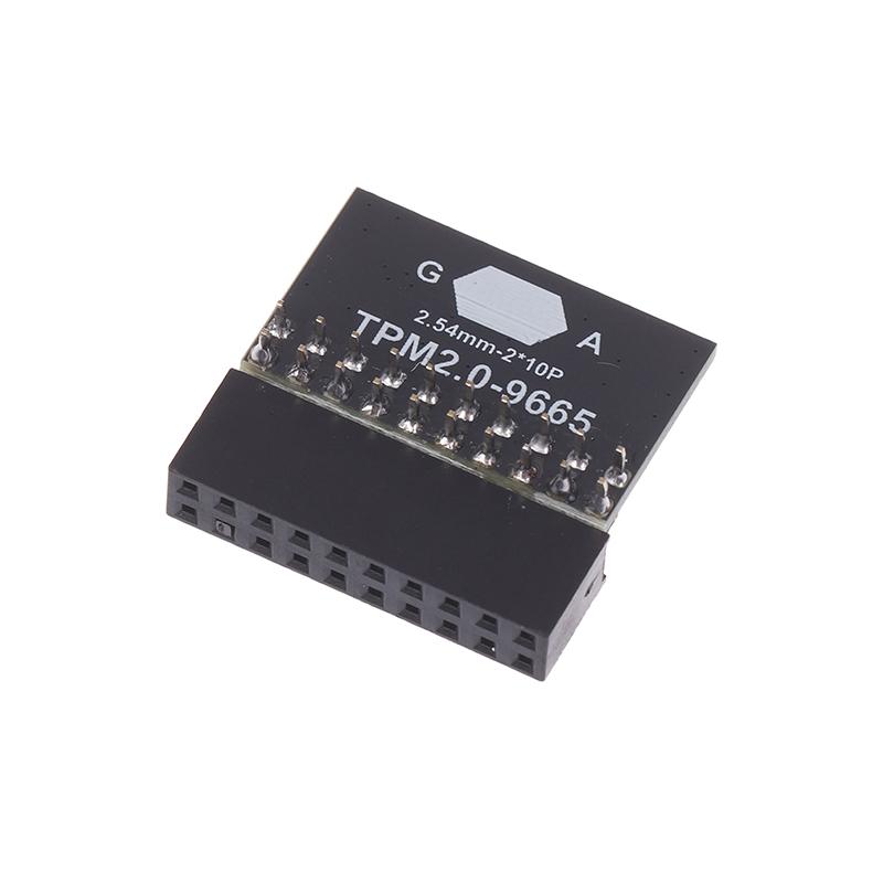 TPM 2.0 Security Module, LPC 20-Pin Encrypted Board Card for ASUS Gigabyte Motherboard, Compatible with Windows 11