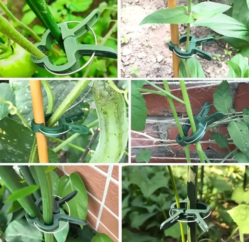 Plant Fixed Clips Reusable Garden Greenhouse Bracket Seedling Stem Support Fastener Garden Climbing Vines Vegetables Fixed Tool