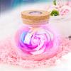 LED Romantische Rose Blume Fernbedienung licht Flasche Dimmer Lampe Nachtlicht Blume Flasche Kreative Geschenk Für Mädchen Hause dekoration