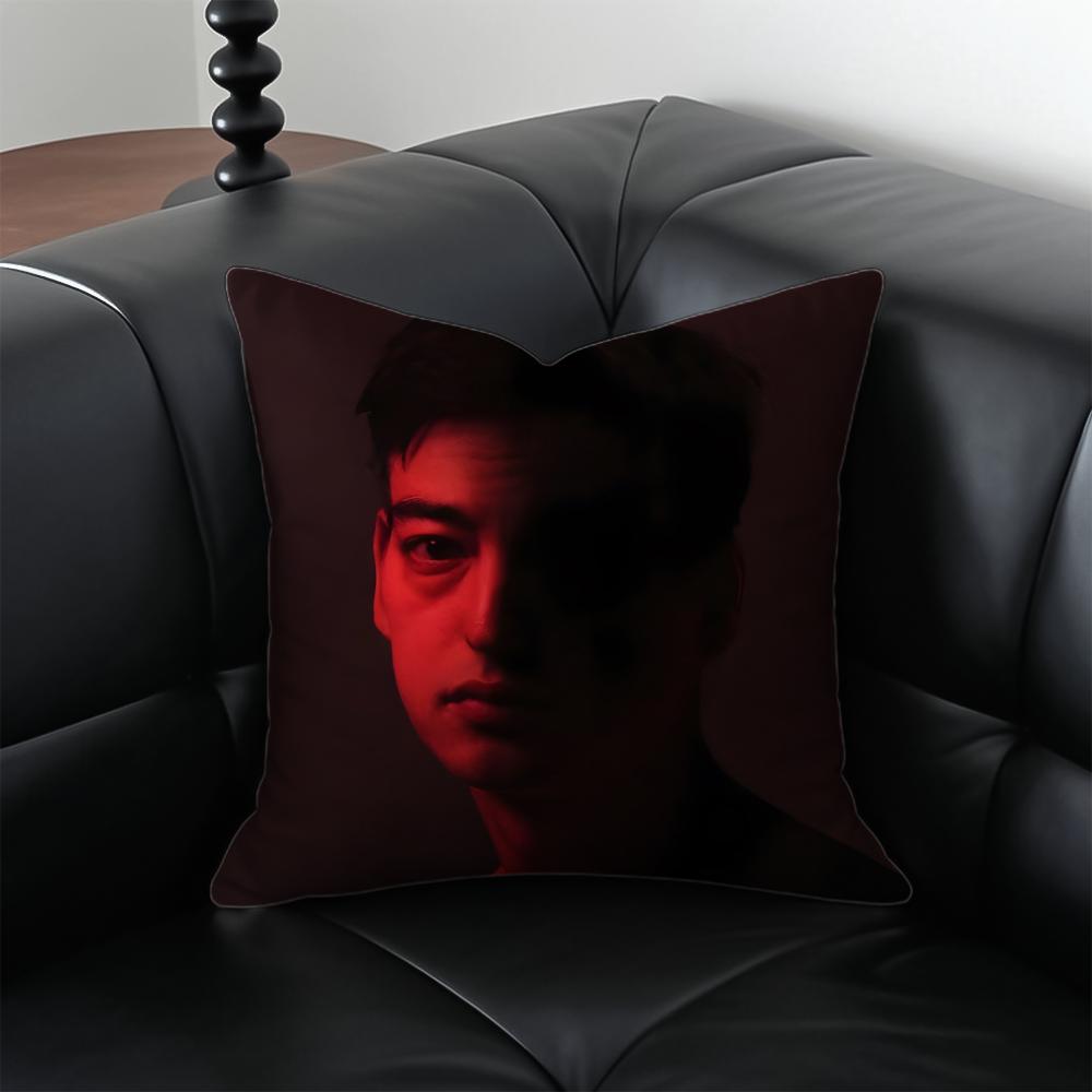 JJoji Album cover Cushion Cover Pillow Case Antidustmite Invisible zipper silky plush cushion
