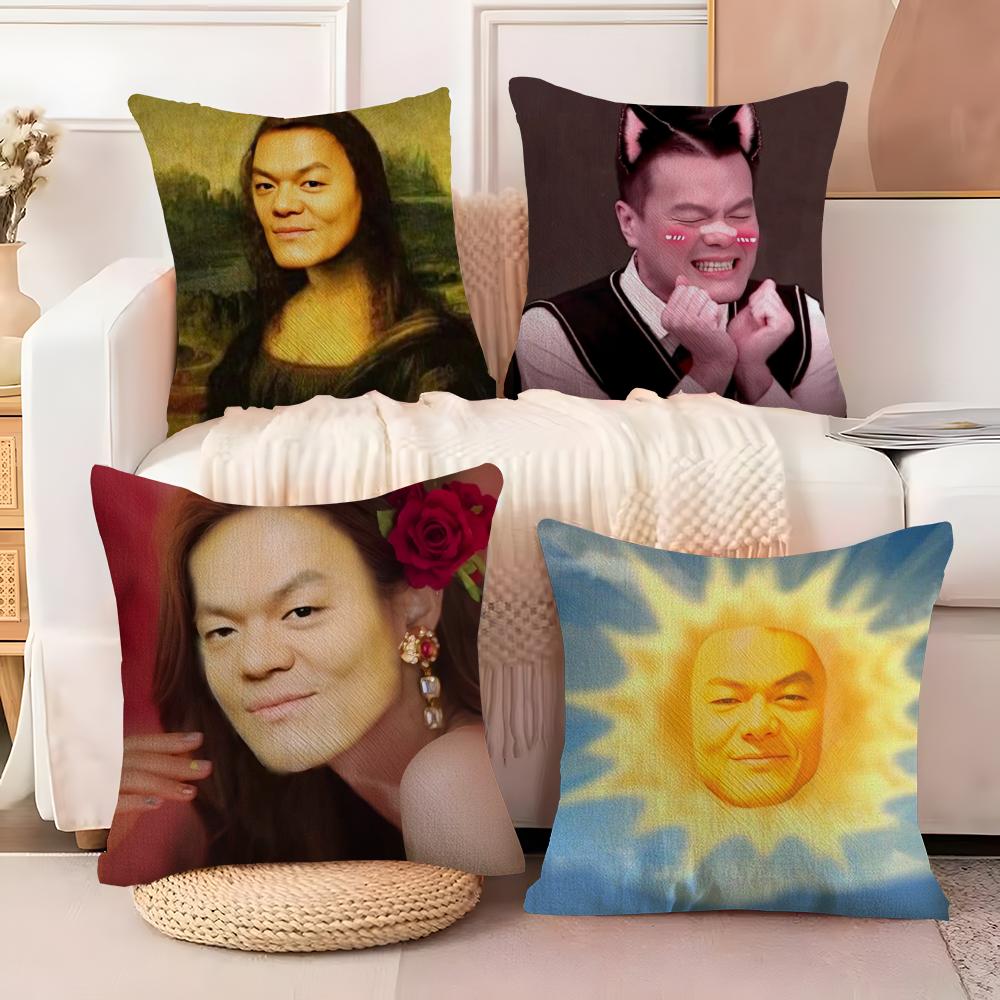 J-JYP Meme Cushion Cover Soft Plush Fabric Double-Sided Printed Sofa Cushion Cover for All Seasons Home Decor Gift