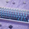 PBT Double Shot Keycaps for Mechanical Keyboards, 134 Key Gradient Purple Backlit OEM Profile Keycaps with Side Print Shine-Through Custom Keyboard