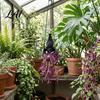 Vasi e fioriere da giardino – Vasi sospesi