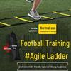 Sports Agility Training Ladder