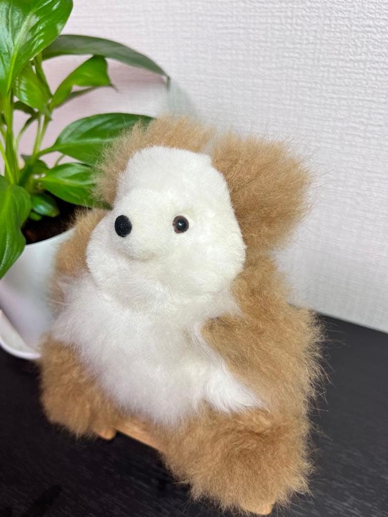 [USED] Alpaca Teddy Bear, 100% Baby Alpaca, Small