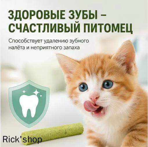 Cat herbal stick, used to brush teeth, pack of 60 pieces