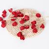 Simulated 3 Fork Physalis Peruviana Floral Wedding Hall Ceiling Home Decoration