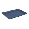Food Serving Tray with Non-Slip Base Large Capacity Food Grade BPA Free Fruit Cookies Dessert Reusable Plastic Tray
