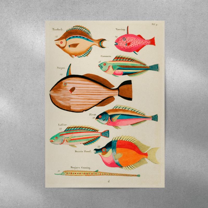 3pc Vintage Tropical Fish Canvas Wall Art Antique Nautical Illustration Printing for Eclectic Home Decor,Ideal Ocean Lover Gifts