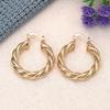1 Pair, Stylish, Twist Woven Fashion Versatile Earrings