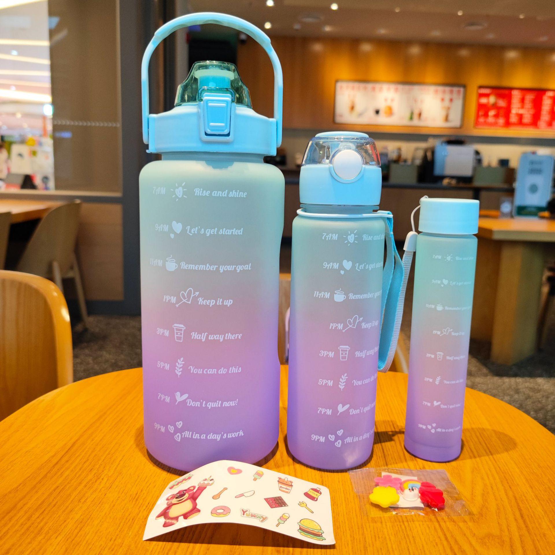 

3 шт. набор, спортивная бутылка для воды, портативная градиентная цветная соломенная чашка для питьевой воды, посуда для напитков, уличные путешествия, тренажерный зал, фитнес-кувшины для подарка 300ML-700ML-2000ML