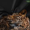 Soft Romantic Rose Leopard Animal Print Duvet Cover Set Bedding Set For Bedroom Guest Room Valentine'S Day Christmas Gift