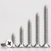 Kohong 304 Stainless Steel Phillips Self-Tapping Screws