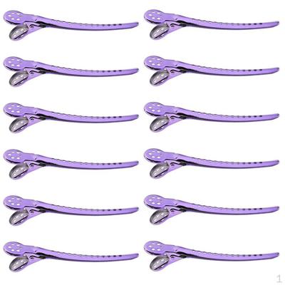 12 Krokodil-Haarspangen Salon Friseur Frisierklammern Greifklemmen Krallen