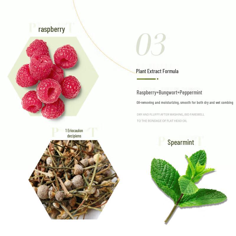 Ziyuan Wuhuanzi Ölkontroll Erfrischendes Shampoo