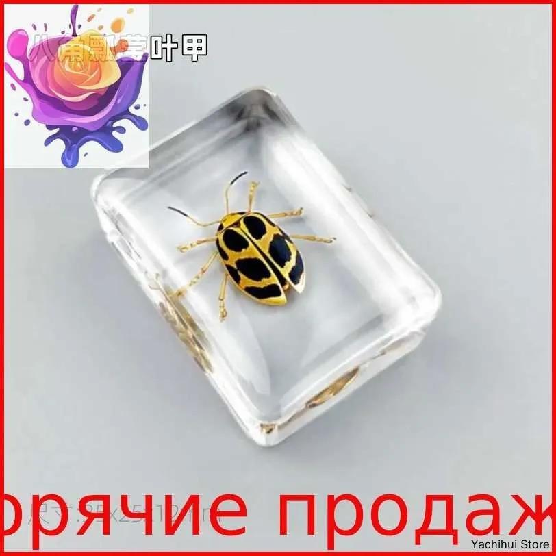 Set of transparent boxes for insect samples
