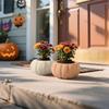 2025 Halloween Kürbis Dekorationen Szenenarrangement Blumentöpfe Gartendekoration Natur Feiertagsparty Requisiten Für Spukhaus