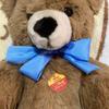 [USED] Steiff Molly 019982 Teddy Bear Plush Toy with Paper Tag, Pre-owned