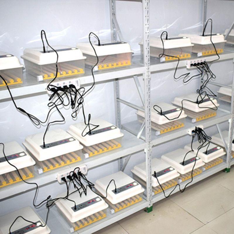 220V Eggs Incubator Brooder Bird Quail Chick Hatchery Incubator Poultry Hatcher Turner Automatic Farm Incubation Tools EU/US