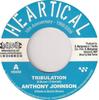 7inch Record ANTHONY JOHNSON  ROOTSAMALA  Tribulation  Injustice HS050 Heartical 2009 France Reggae Ska  Dub Used