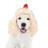 Elegante goldene Licht lange gewellte Haustierperücke Hut für Hunde und Katzen Perfekt für saisonale Partys